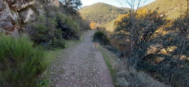 Ruta del Boquerón del Estena