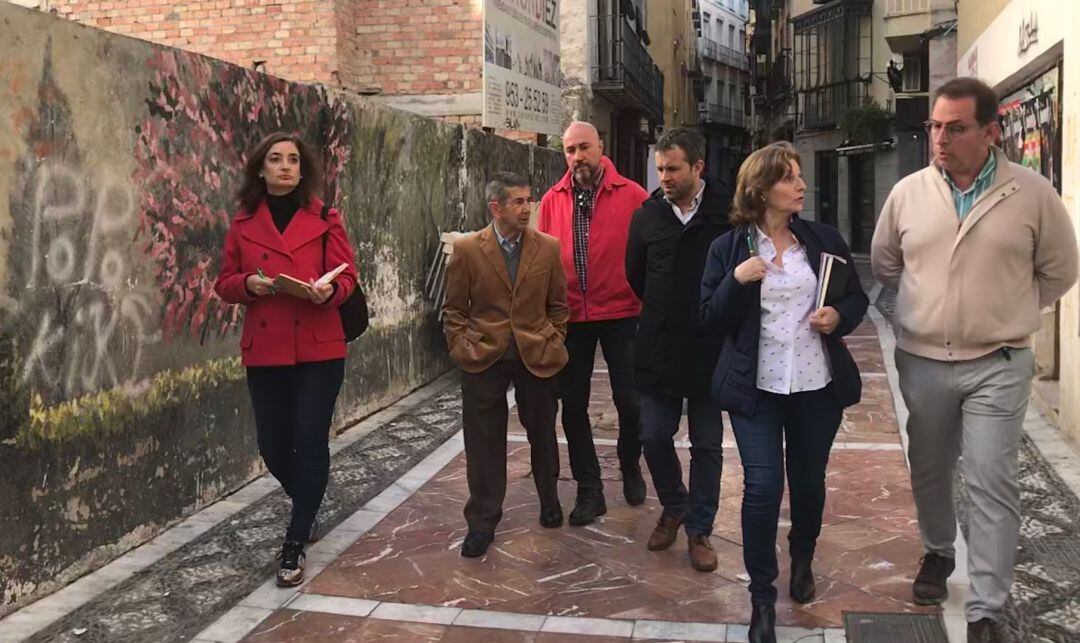 El alcalde de Jaén, Julio Millán, (cuarto por la izquierda), acompañado de otros concejales y responsables vecinales.