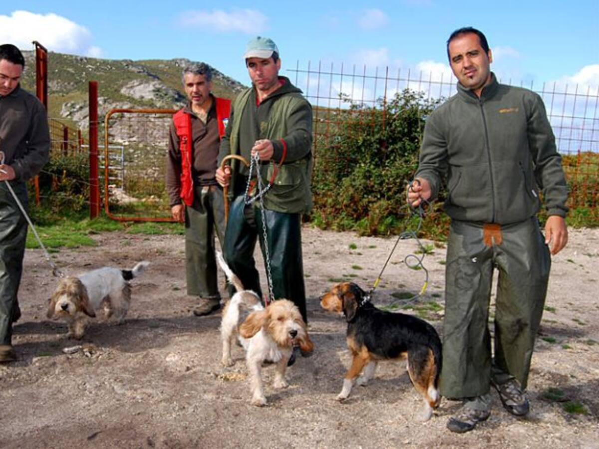 Ayudas para cazadores
