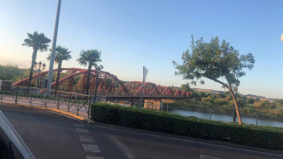 El Consejero de Fomento anuncia la licitación de las obras del 'Puente de Hierro'