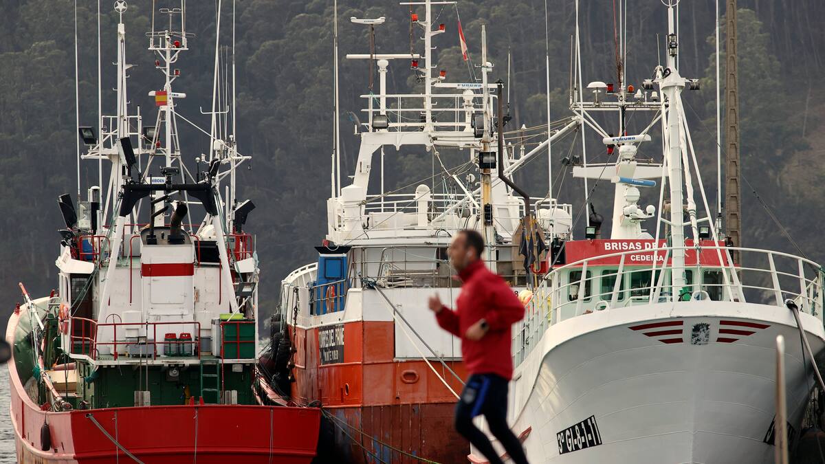 La Xunta pide al gobierno central que recurra las restricciones a la pesca ante los tribunales