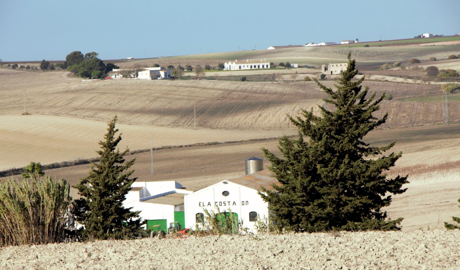 Recorrido por la Carrahola y la laguna de los Tercios en Jerez