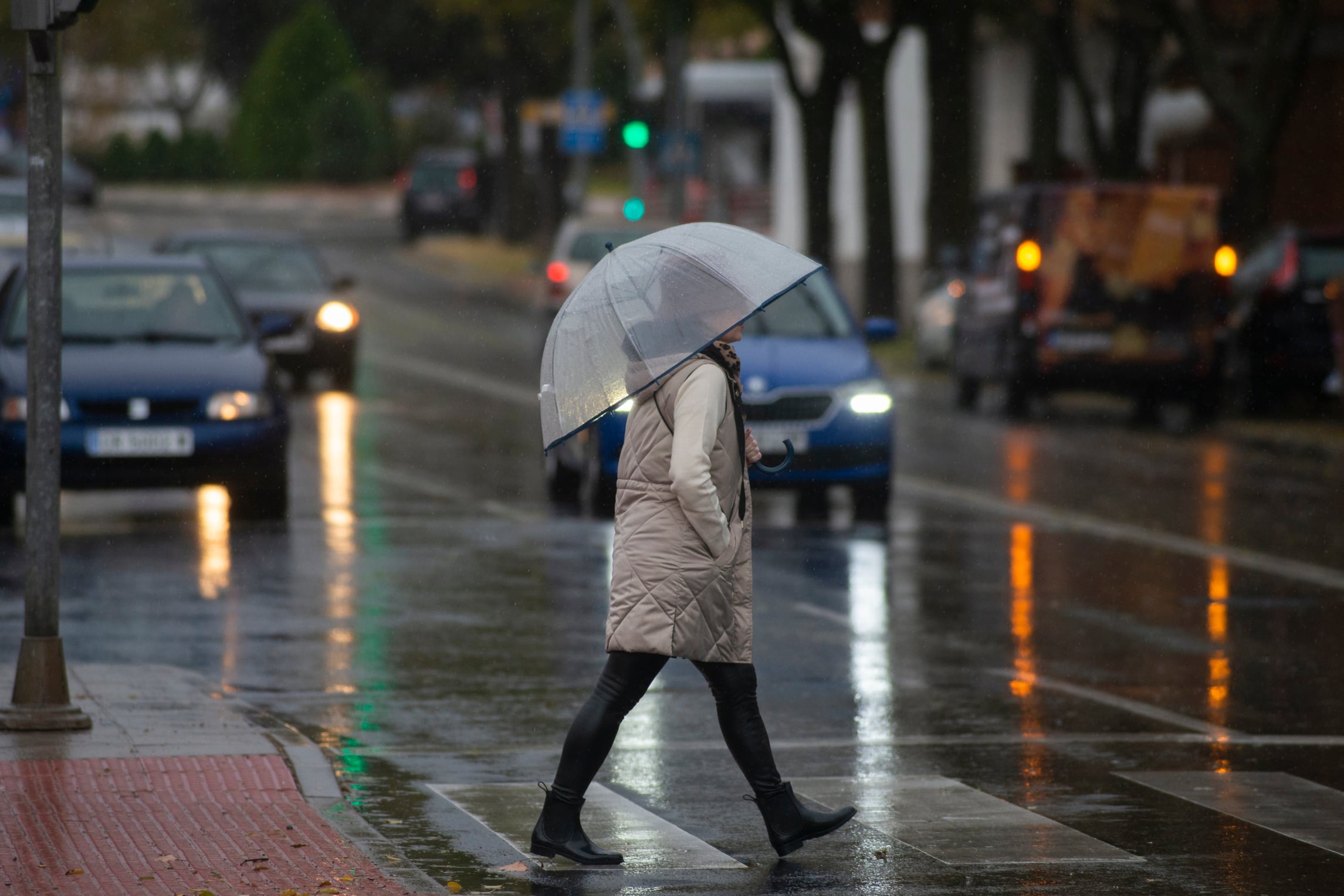 Una mujer se protege de la lluvia con el paraguas. Las precipitaciones que se están registrando sobre Castilla-La Mancha desde principios de mes y que ayer fueron especialmente destacables en la parte oeste de la región, dejan ya registros por encima de los 60 litros por metro cuadrado (l/m2) en algunos punto de la comunidad. EFE/Jesús Monroy