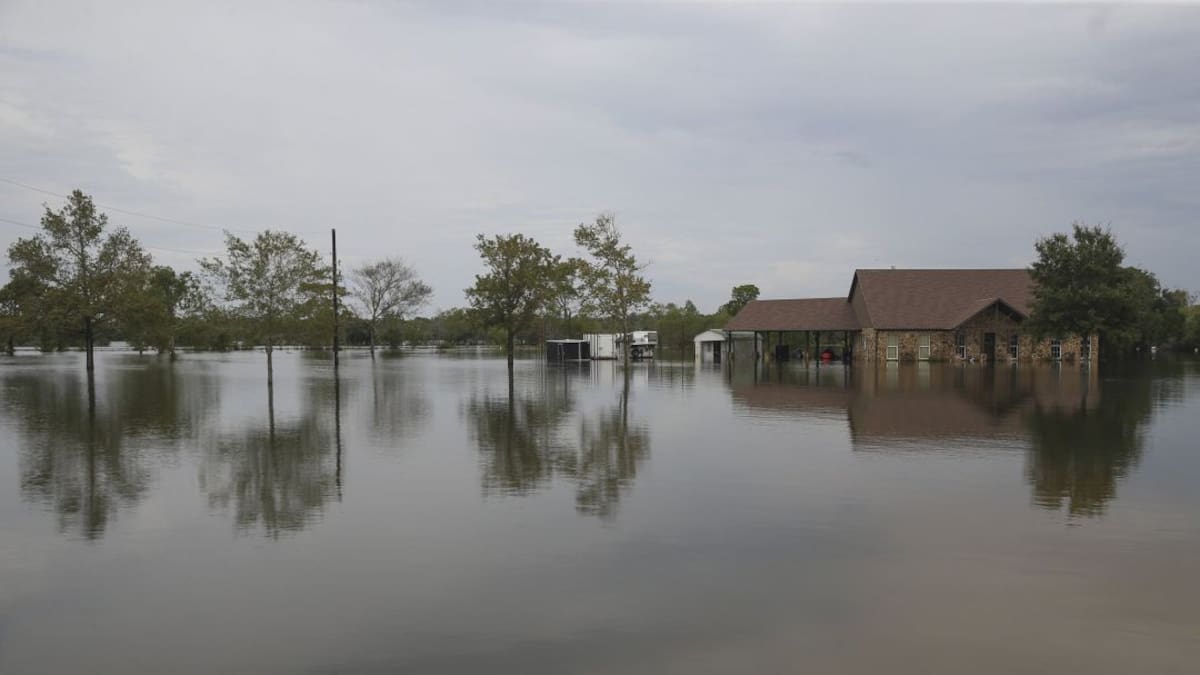Íñigo Losada: "O actuamos rápidamente o podemos tener consecuencias irreversibles"