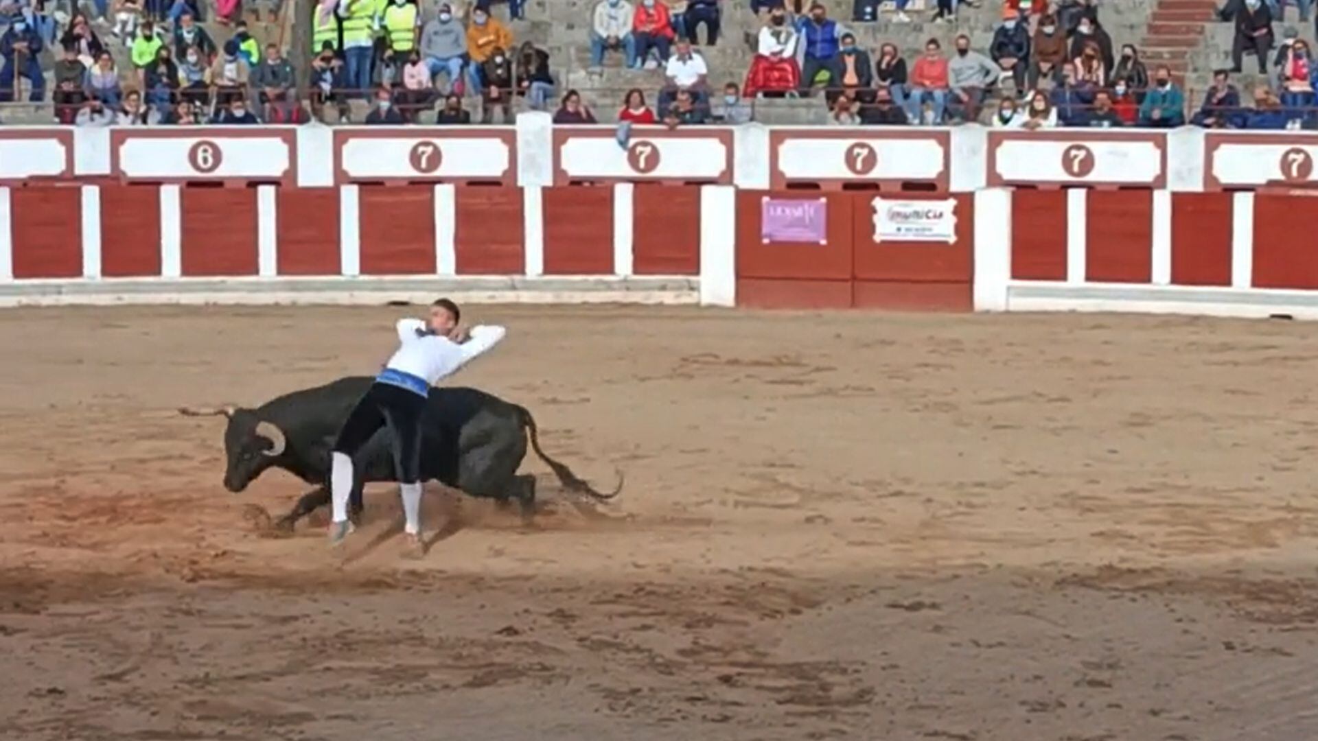 Concurso de recortes en la Plaza de Toros de Zamora en el año 2021