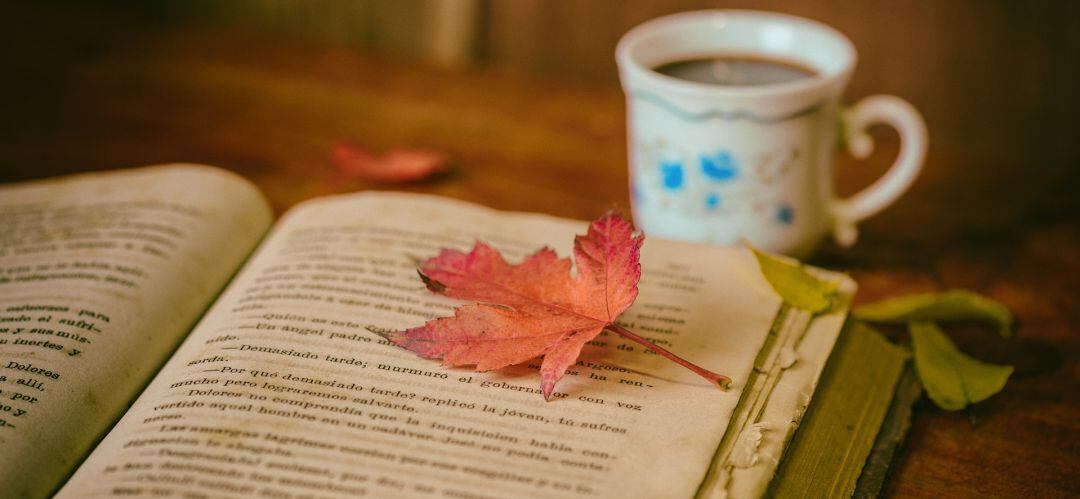 Podrán intercambiar opiniones sobre sus novelas más conocidas