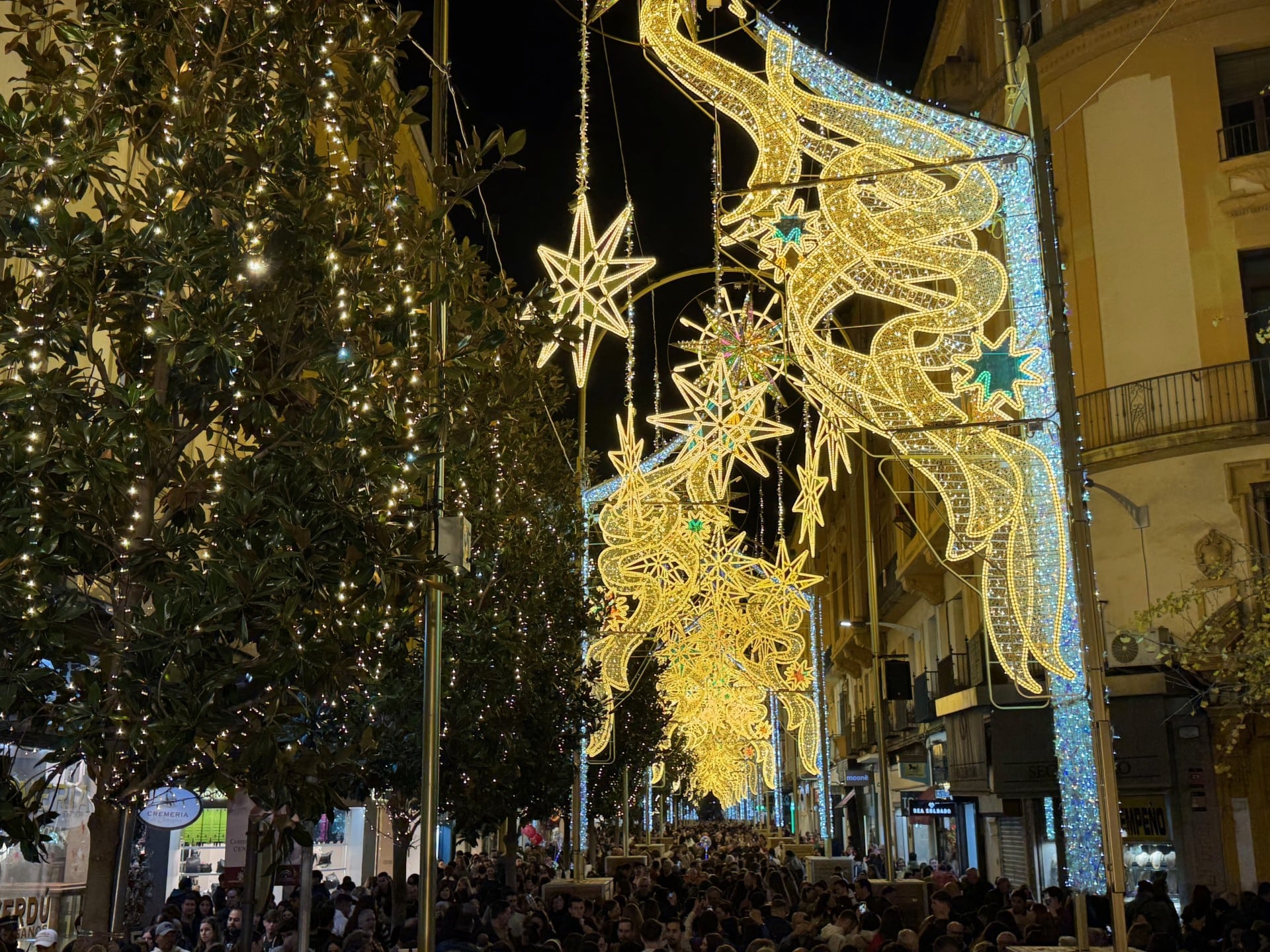 Iluminación navideña en la calle Cruz Conde