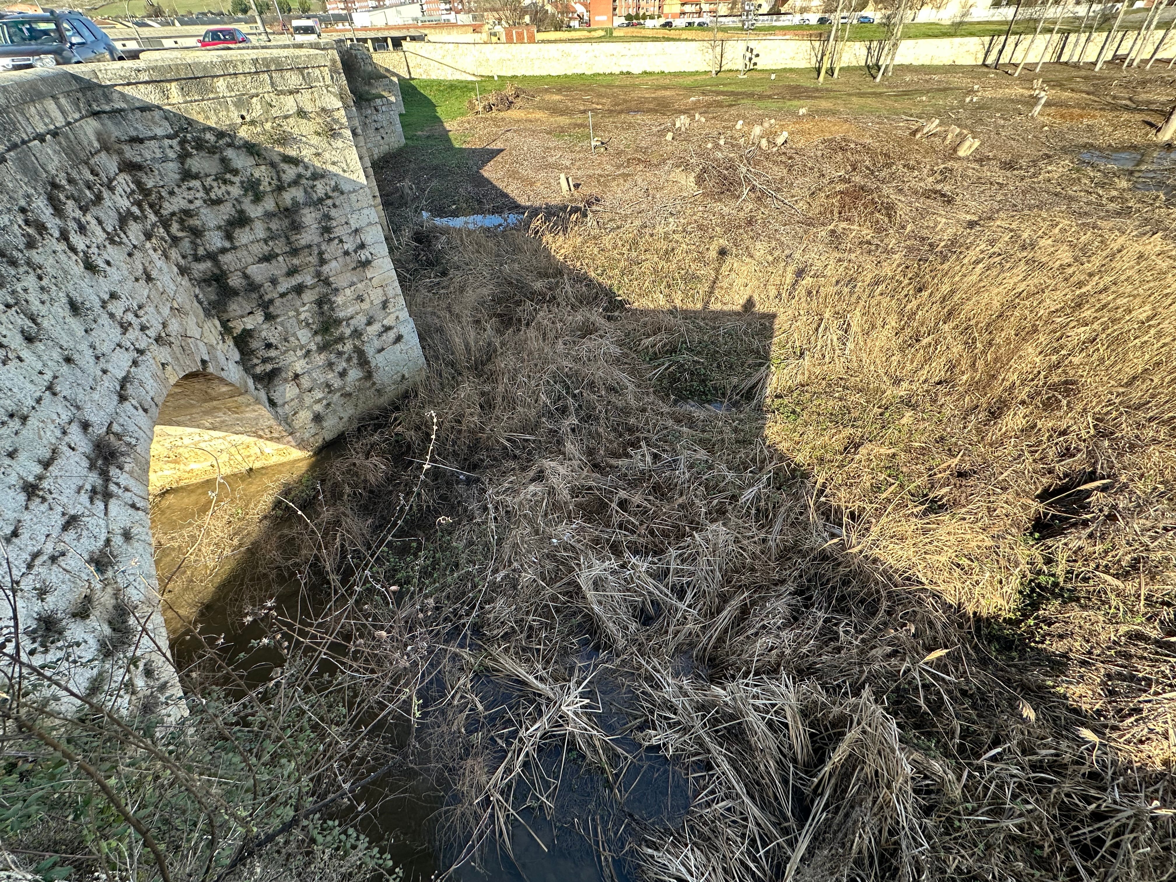 Estado del cauce del Río Carrión a su paso por Villamuriel de Cerrato