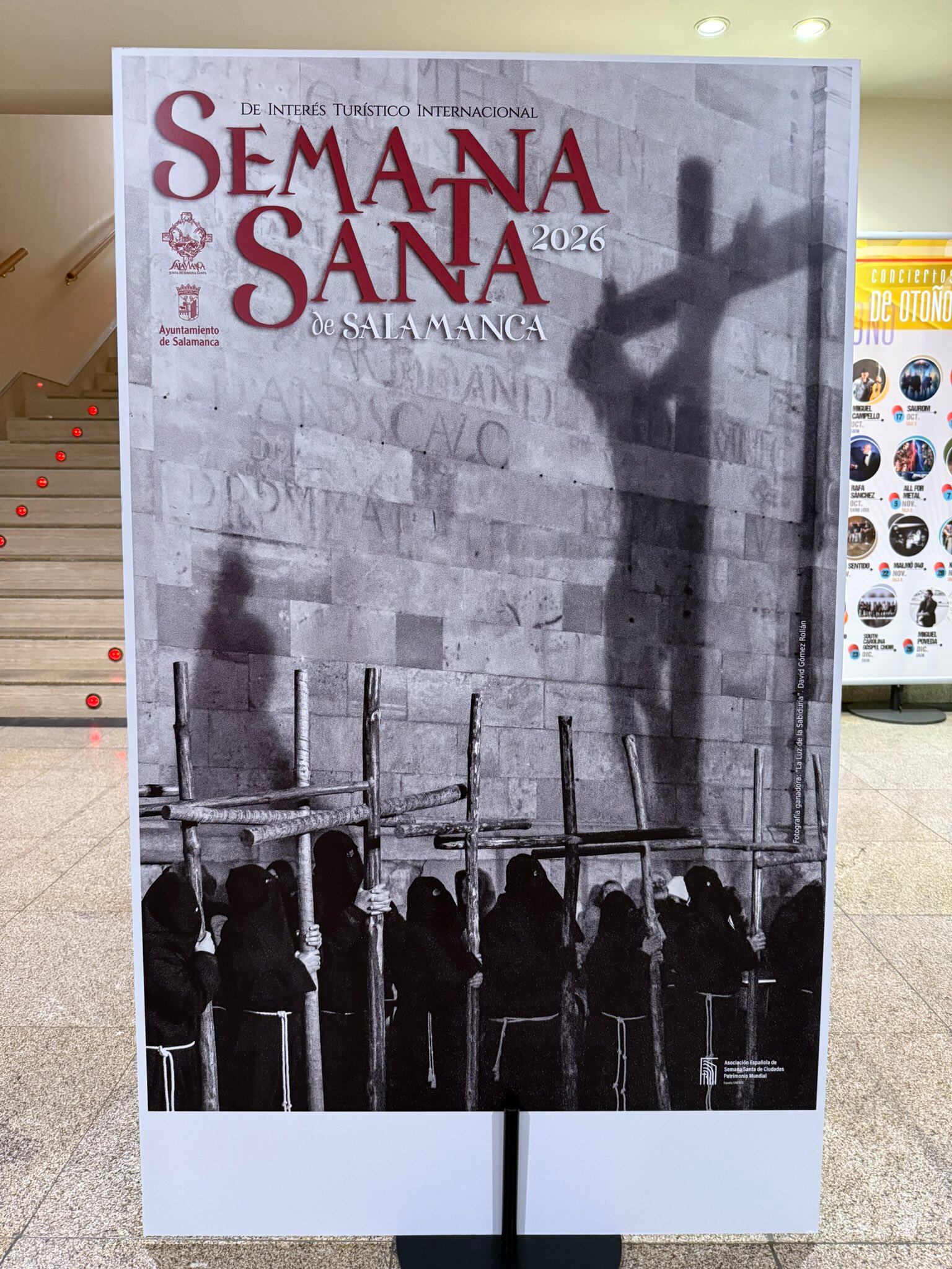 Imagen ganadora del concurso