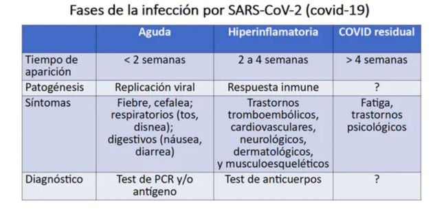 Fases de la infección.