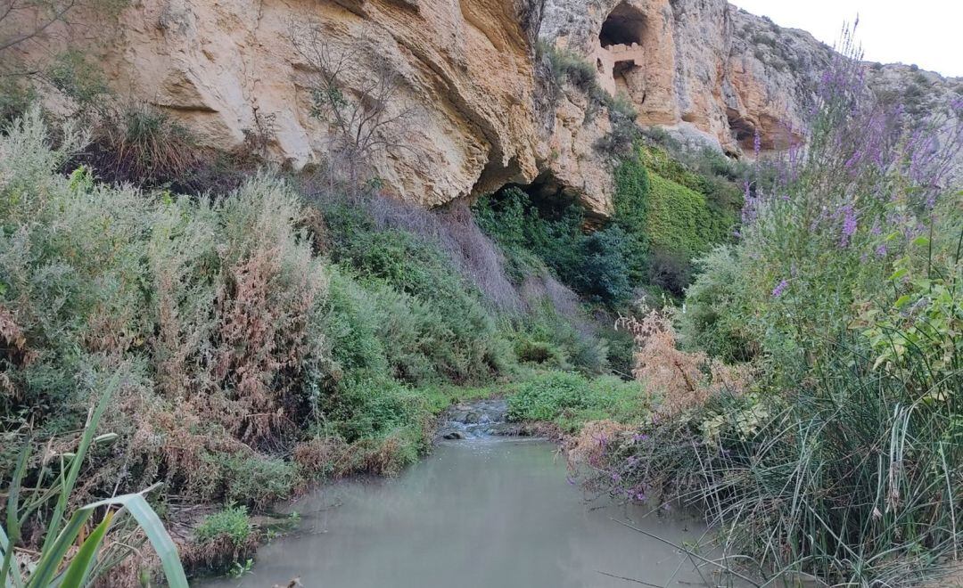 El río Quípar a su paso por la Cueva del Rey Moro