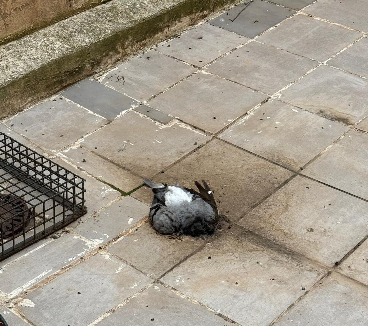 CSIF alerta de la "insalubridad" del centro penitenciario de Logroño