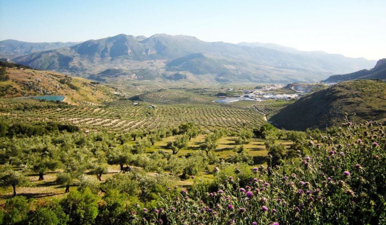 Paisaje de Sierra Mágina