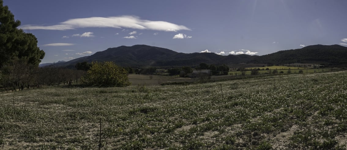 Partida de Polop Alt donde se proyecta la planta solar fotovoltáica en una imagen de archivo