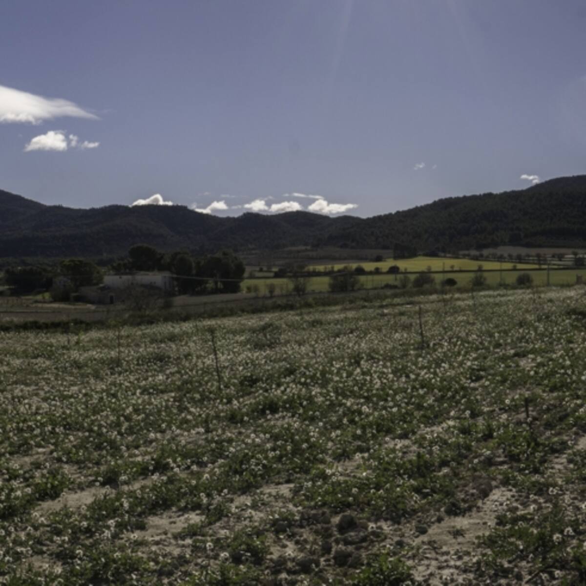 La Generalitat rechaza el proyecto de instalación de una planta fotovoltaica en la partida de Polop Alt de Alcoy
