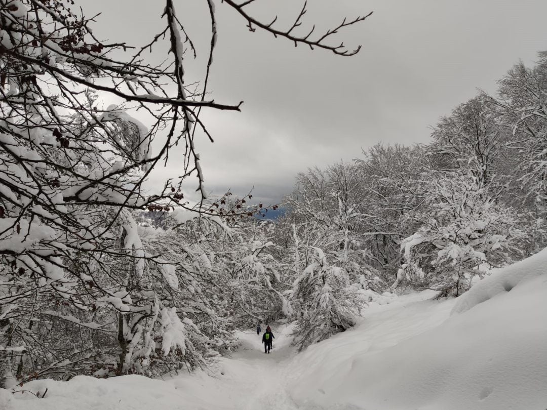 La Agencia Vasca de Meteorología, Euskalmet, prevé para este viernes en el País Vasco tiempo invernal. Los chubascos serán frecuentes en la vertiente cantábrica, donde irán acompañados de granizadas y tormentas. 
 POLITICA PAÍS VASCO ESPAÑA EUROPA VIZCAYA
 