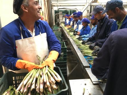 Trabajadores búlgaros en la empresa Hermanos Urbina en Guadalajara