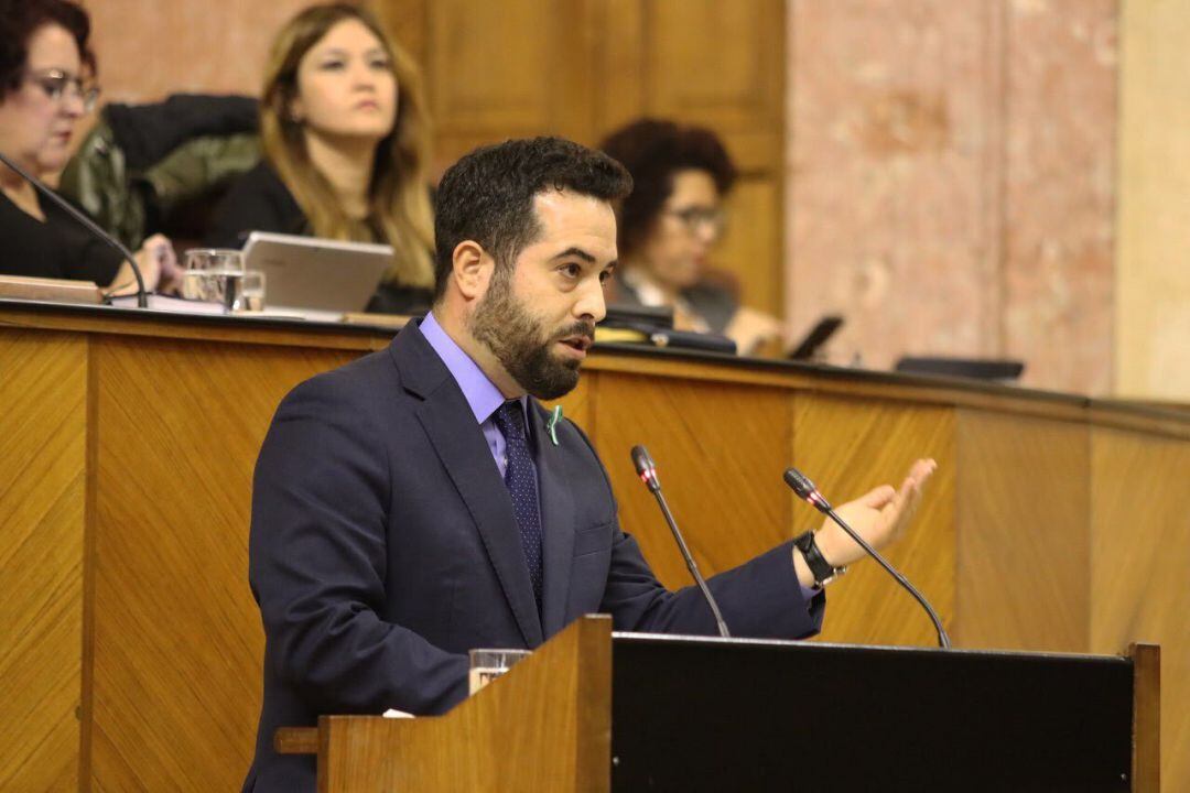 Fran Carrillo (Cs), durante un turno de intervención en el Parlamento de Andalucía.  