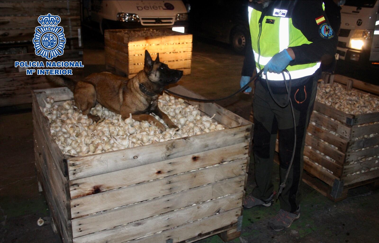 El perro de la unidad canina marcó rápidamente el cargamento del camión