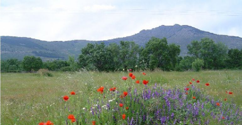 Sierra de Guadarrama, declarado Parque Nacional