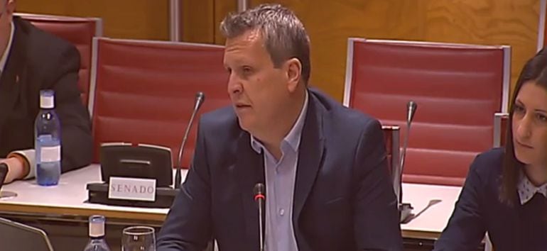 Carlos Cuadrado, responsable de finanzas de Ciudadanos, durante su comparecencia en la comisión que investiga la financiación de partidos políticos en el Senado