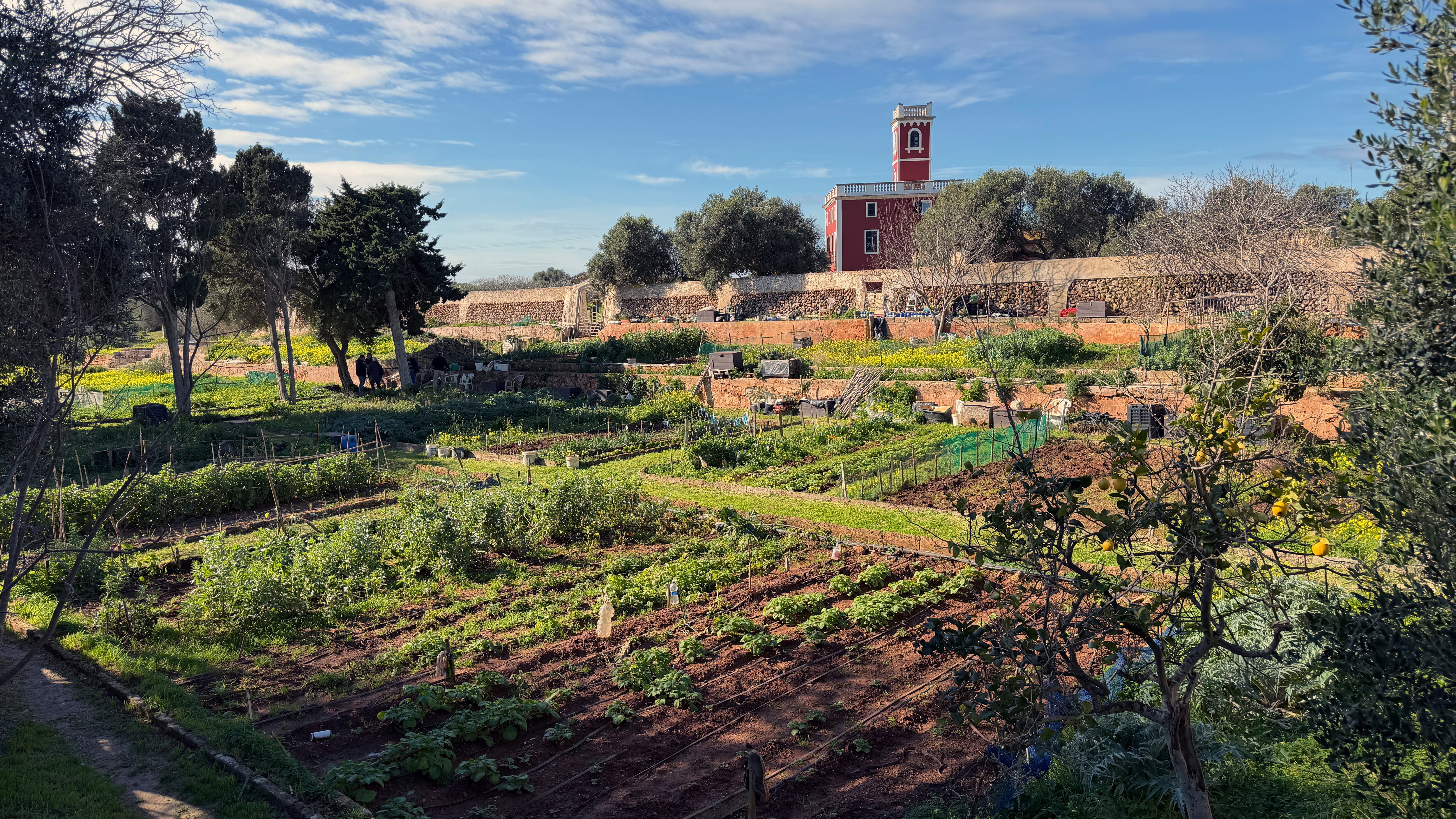 Horts urbans de Ciutadella