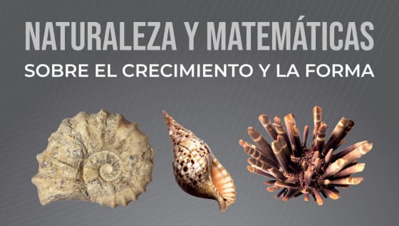 Nueva exposición del Planetario de Aragón