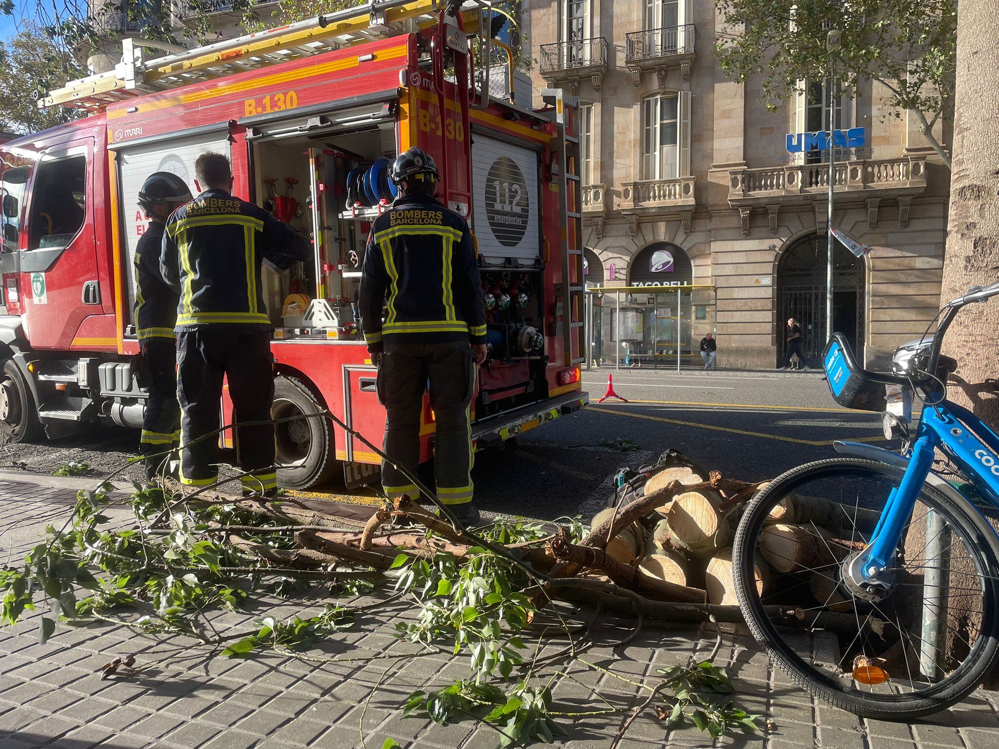 Els bombers retiren les branques de l'arbre que ha caigut a ronda de Sant Pere, a Barcelona.