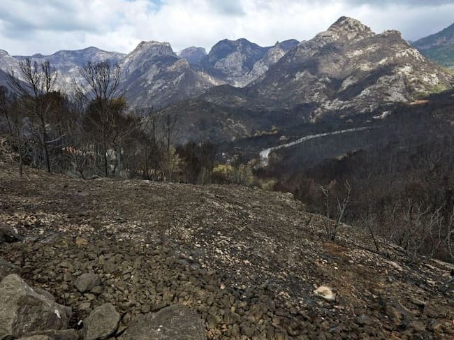 Vista de las montañas que rodean la carretera CV-675, que une las localidades valencianas de Gandía y Barx, devastadas por el incendio forestal de Llutxent / NATXO FRANCÉS (EFE)