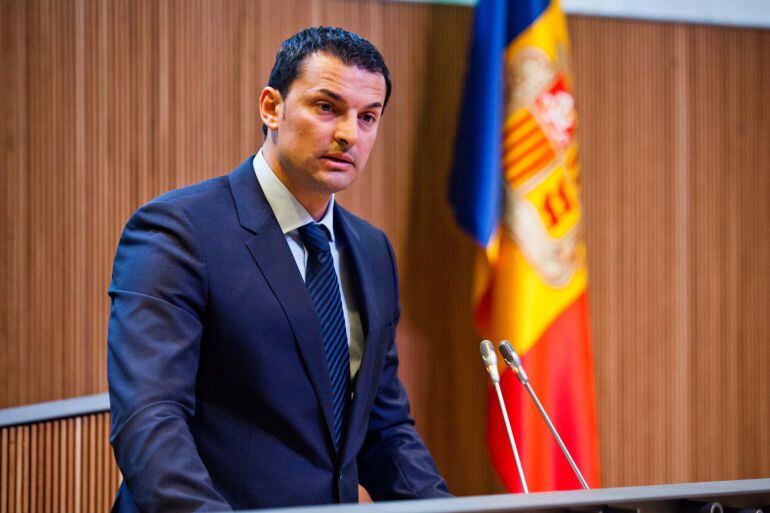 El president del grup liberal, Jordi Gallardo.