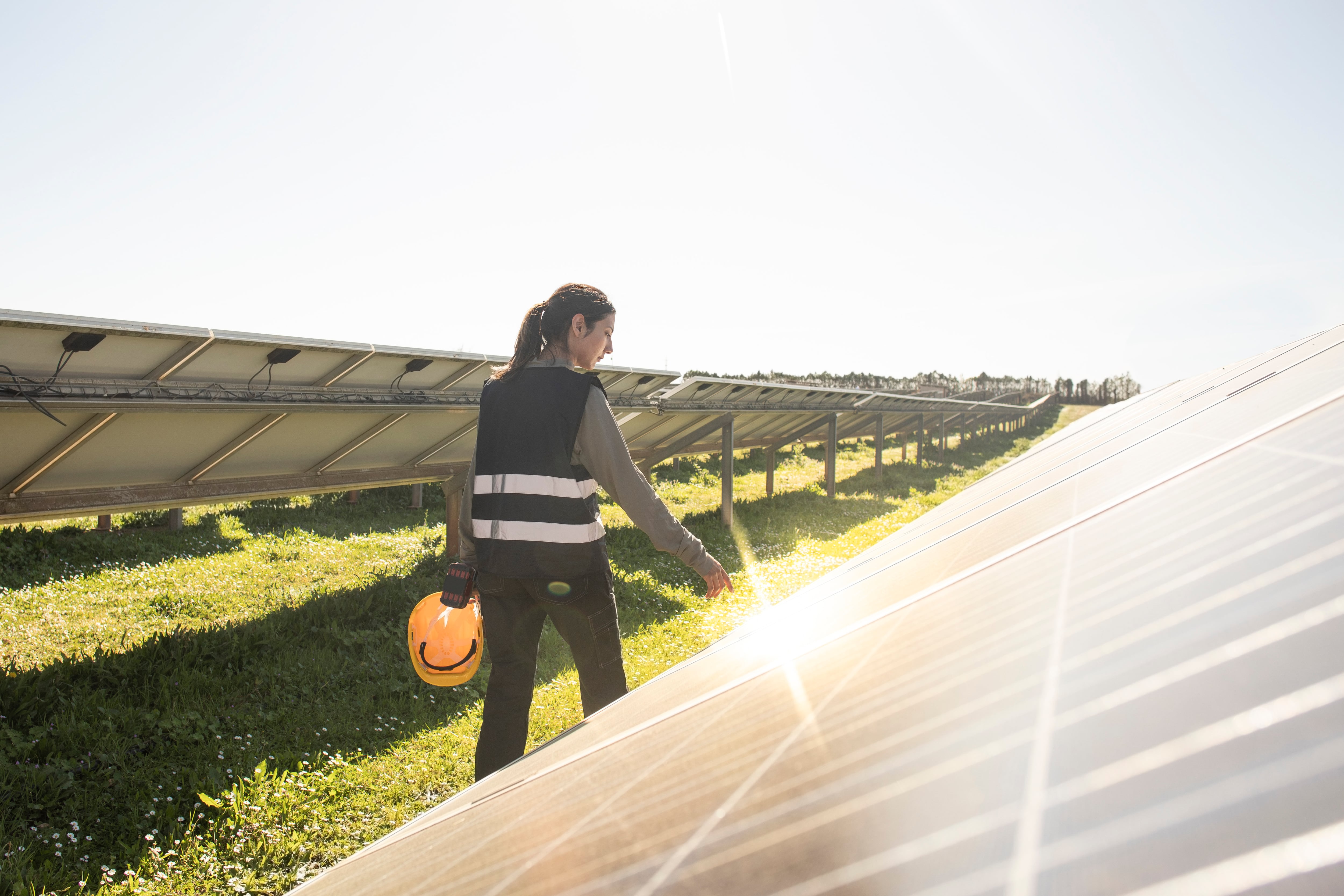 Las energías renovables suponen una fuente de empleo en el medio rural