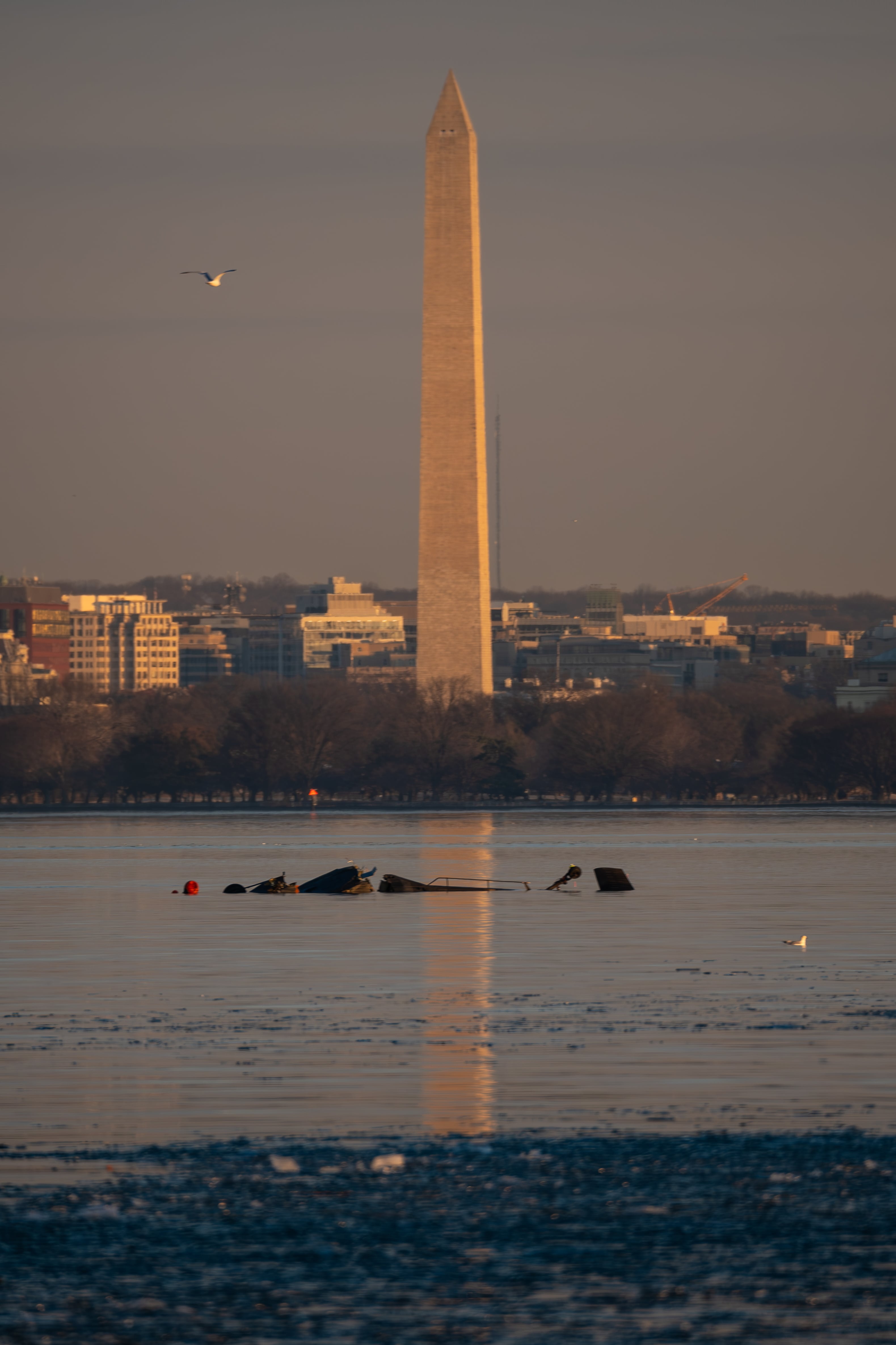 Los restos del helicóptero Black Hawk del ejército de EEUU que chocó con un avión comercial en el río Potomac en Washington