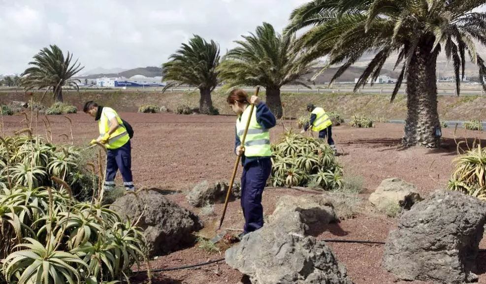 Operarios limpiando espacios naturales en Lanzarote.