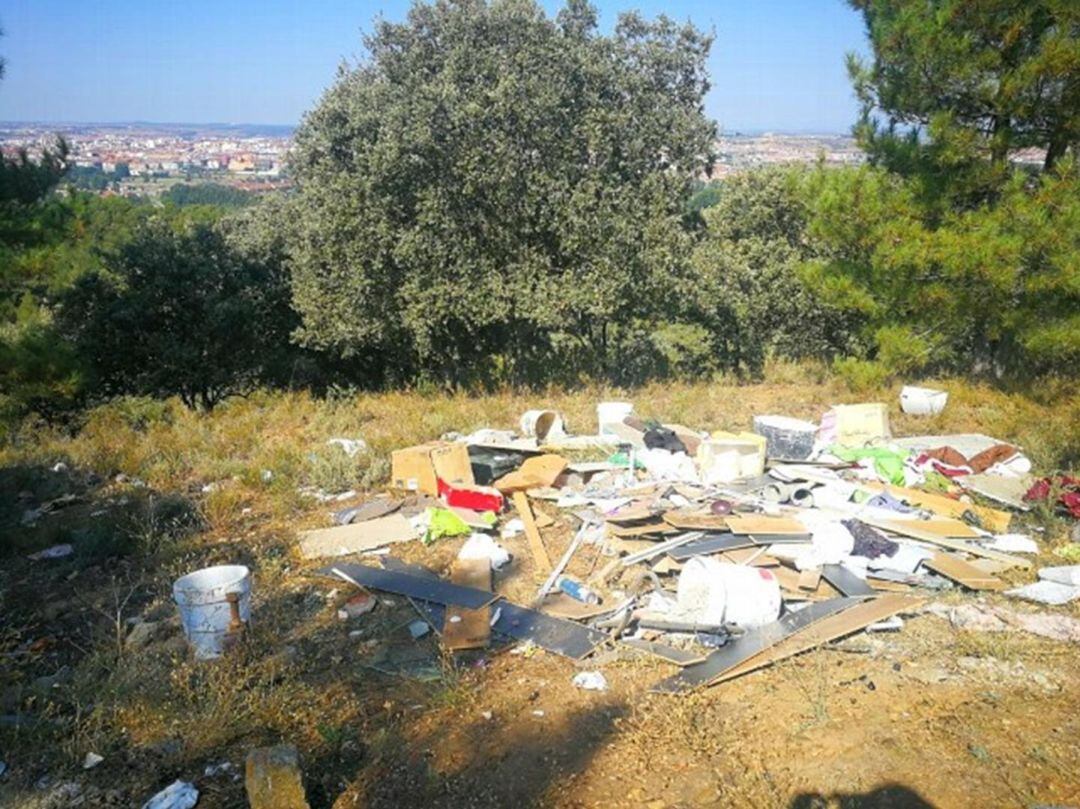 Limpiar la basura de las zonas verdes es el objetivo del programa &quot;LIBERA&quot;