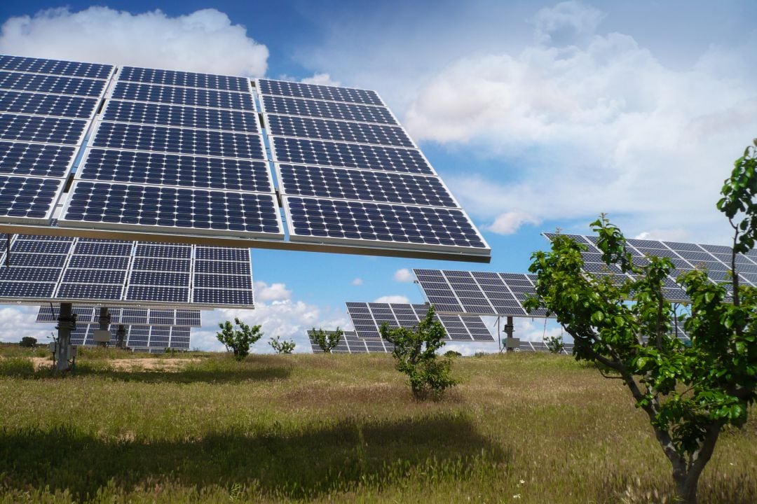 Imagen de un parque solar en Albacete en el que conviven paneles solares y árboles
