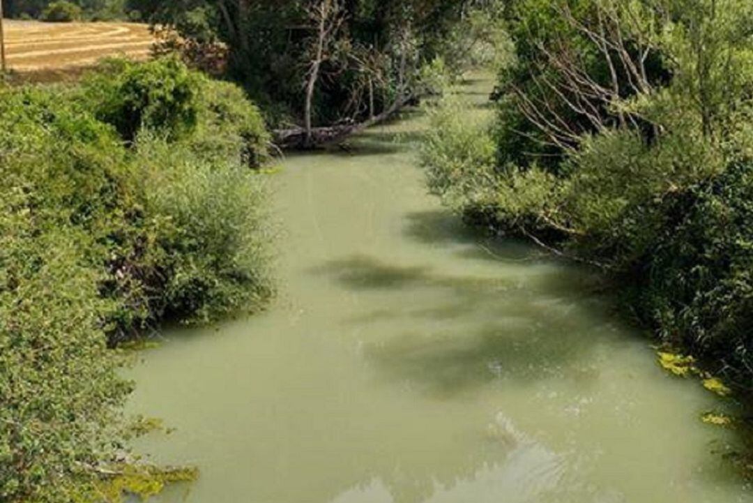 Río Omecillo contaminado en su paso por la localidad de Bergüenda