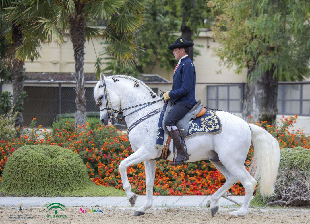 Jinete de la Escuela Andaluza del Arte Ecuestre
