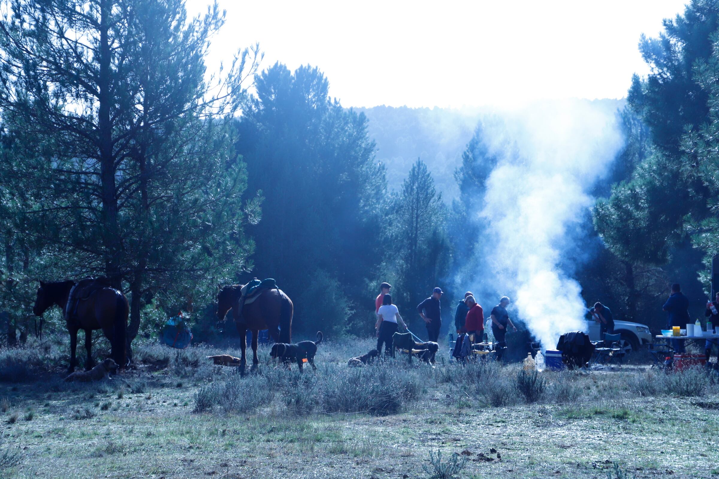 Campamento de los trashumantes a la hora de comer.