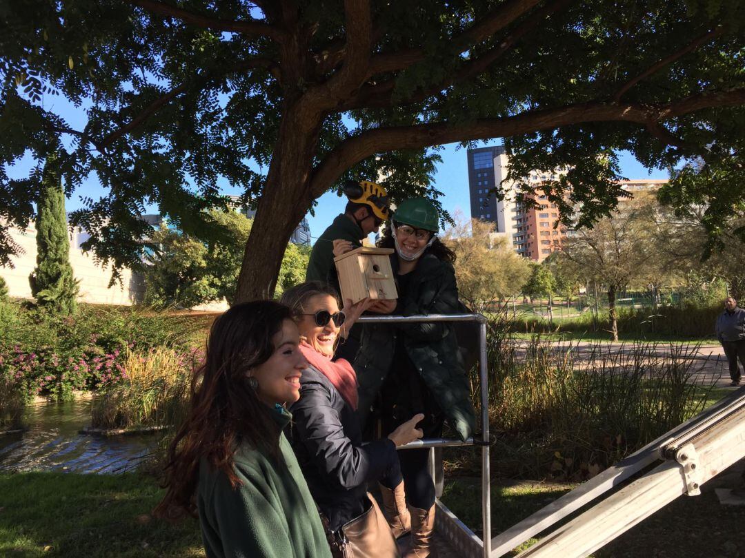 Gloria Tello, acompañada de la presidenta de l'Oceanogràfic, Celia Calabuig, coloca una caja-nido