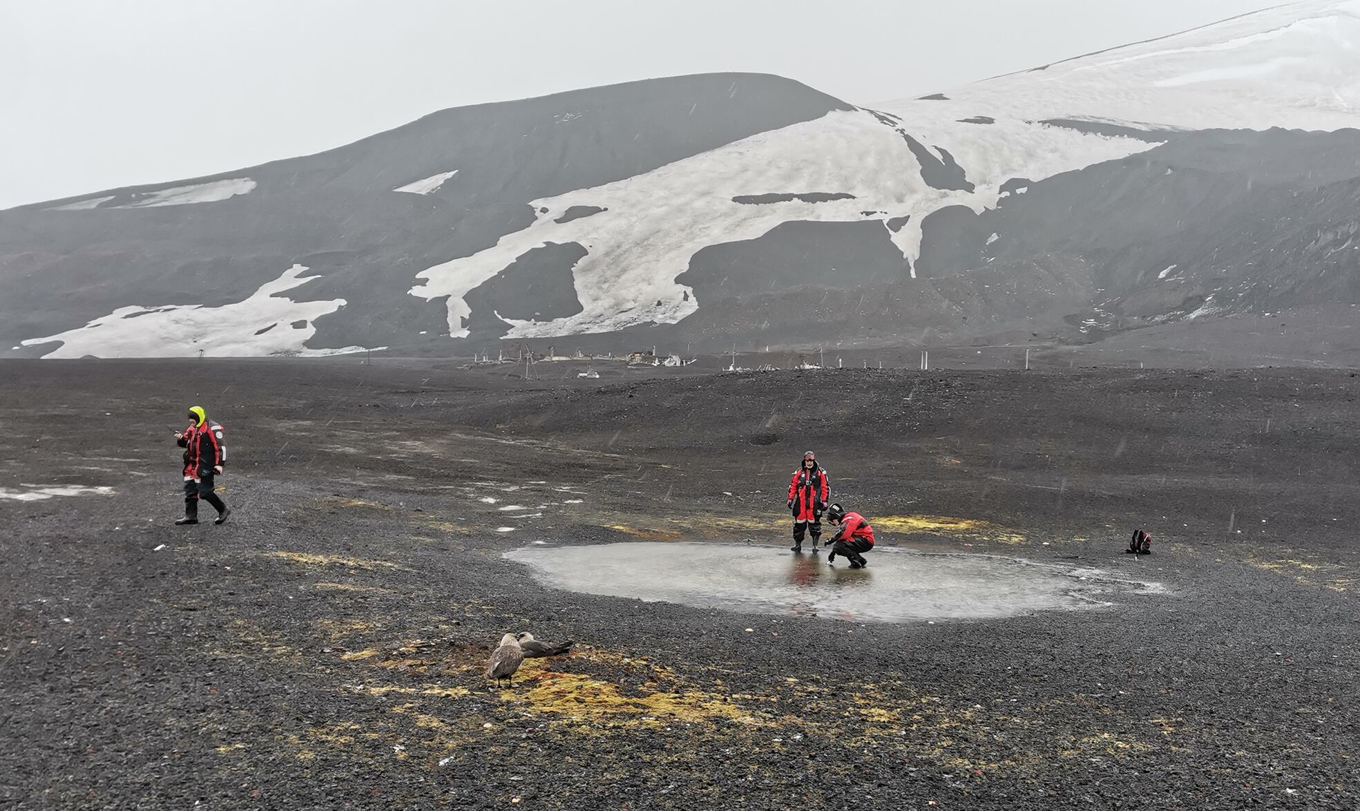 Investigadores de la Universidad de Jaén durante la toma de muestras en la Isla Decepción.
