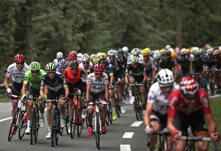 El pelotón compite en la duodécima etapa del Tour de Francia