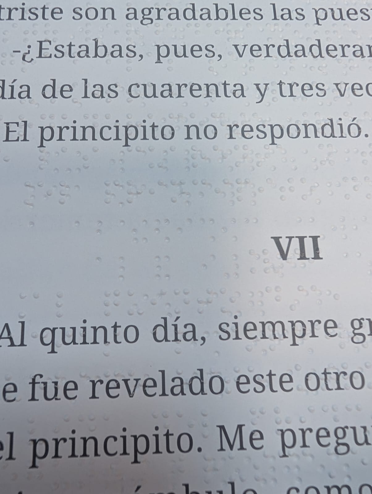 Ejemplar de 'El Principito' en braille.