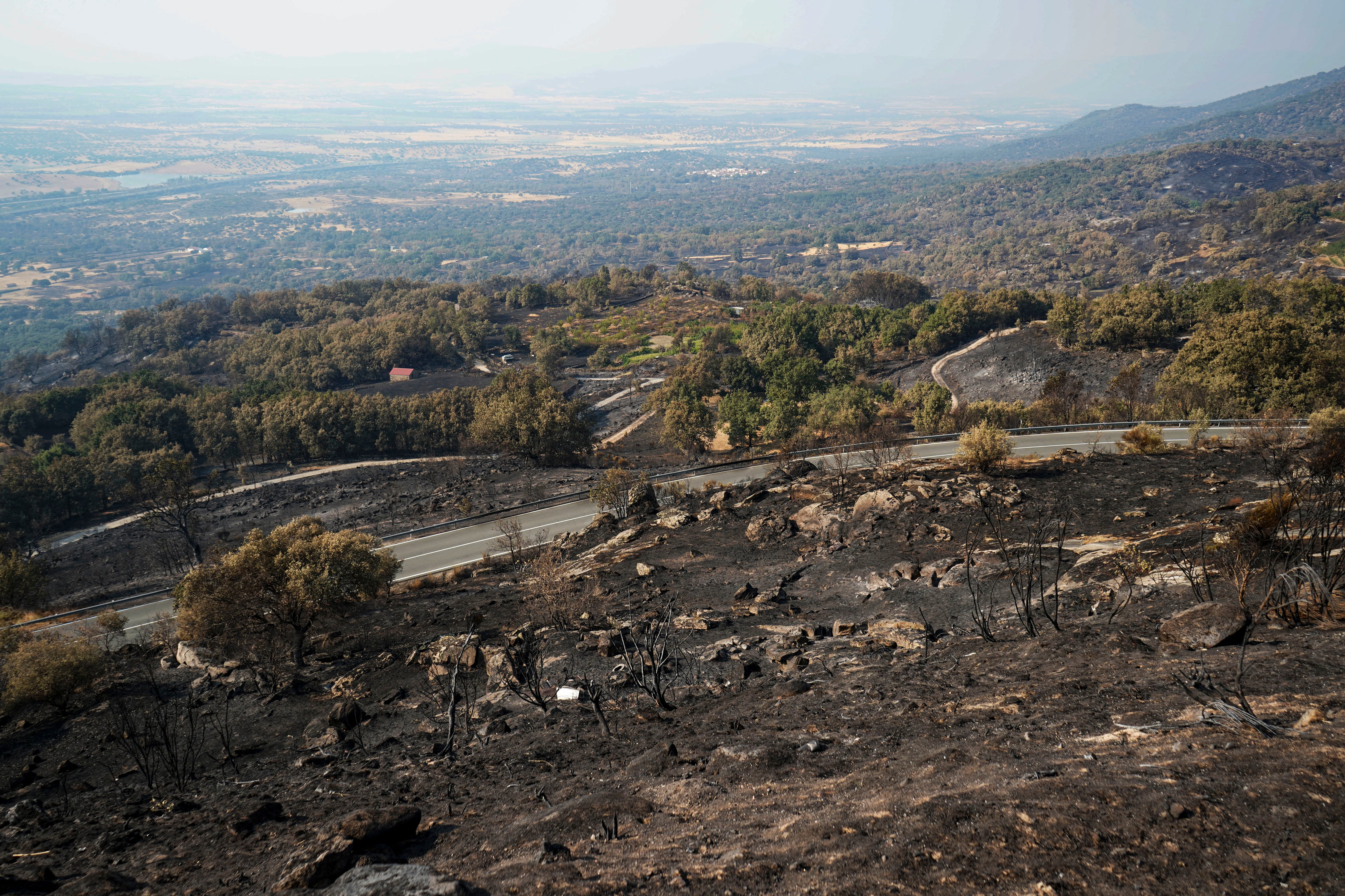 CABEZABELLOSA (CÁCERES), 20/08/2025.- Áreas calcinadas en la localidad cacereña de Cabezabellos por el incendio de Jarilla (Cáceres), cuyo avance se ha logrado contener pues en los dos últimos días ha ido quemando &quot;de 500 en 500 hectáreas&quot;, mucho menos que en jornadas anteriores, pero hoy el viento vuelve a complicar las tareas de extinción. EFE/EDUARDO PALOMO
