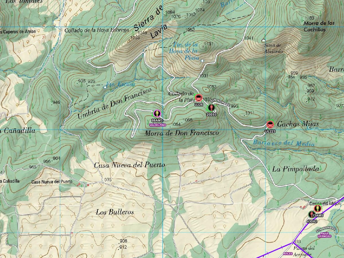 Muere un trabajador al caerle un árbol encima en un monte de Cehegín