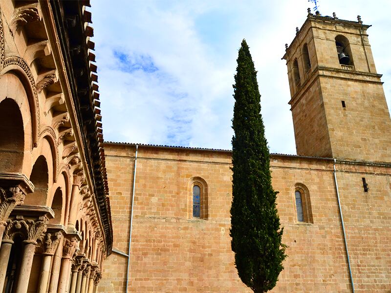 Concatedral de San Pedro