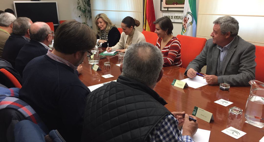 Reunión para hablar de la IGP &#039;Aceites de Jaén&#039;