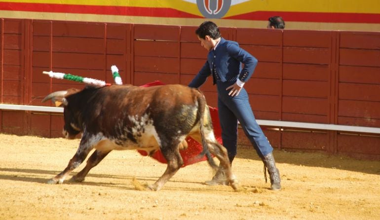 Corrida de toros en la plaza de Cenicientos