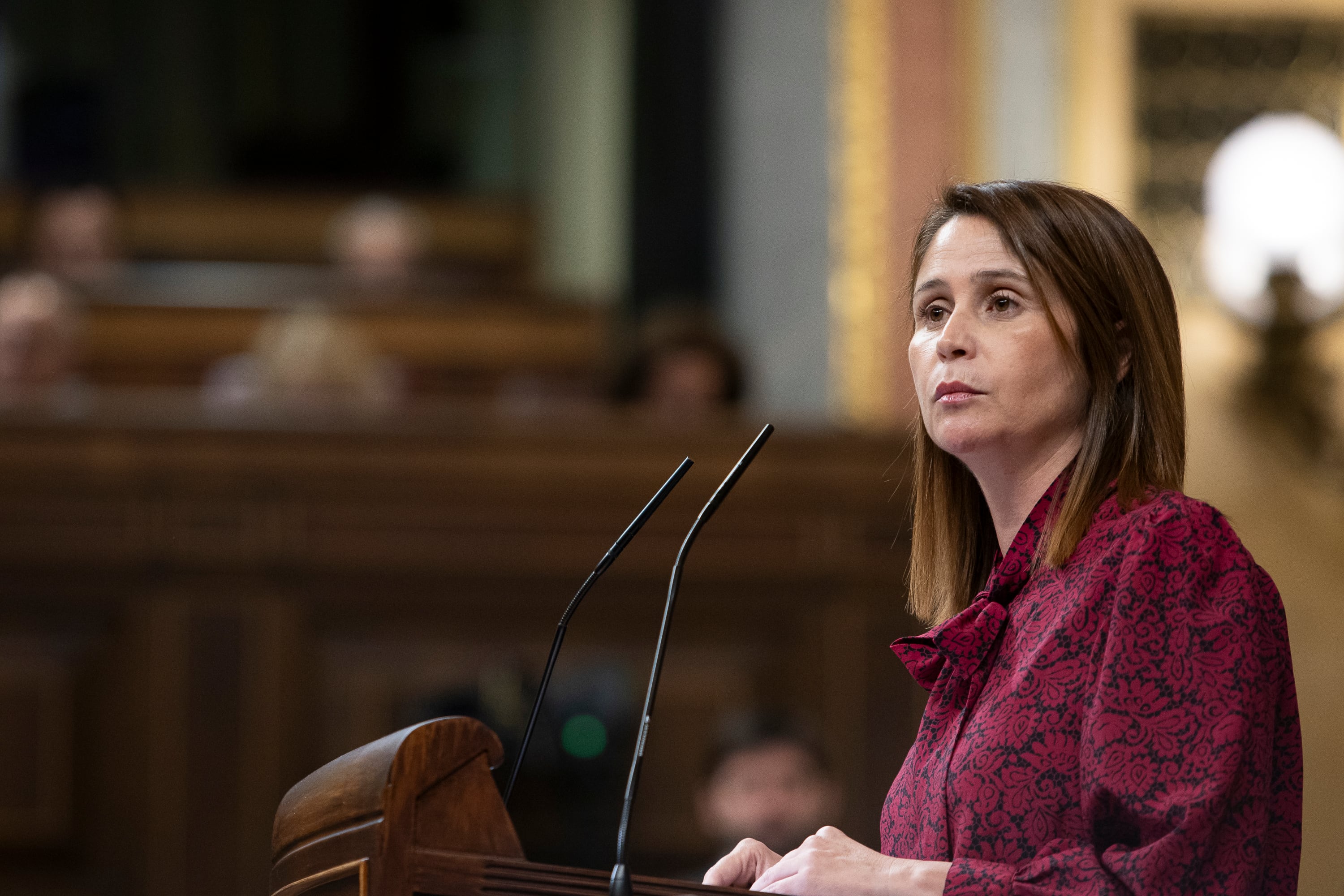 Milena Herrera en el congreso(PSOE)