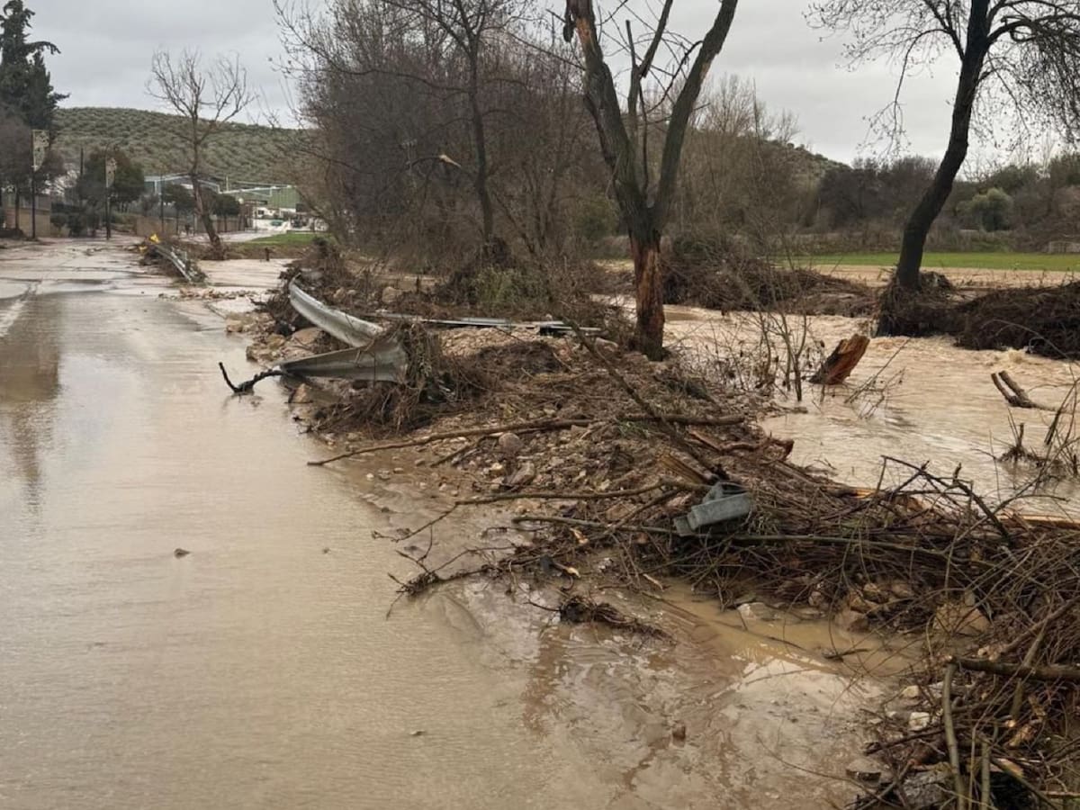 La Diputación de Granada aprueba por unanimidad la petición de "zona catastrófica" para la provincia
