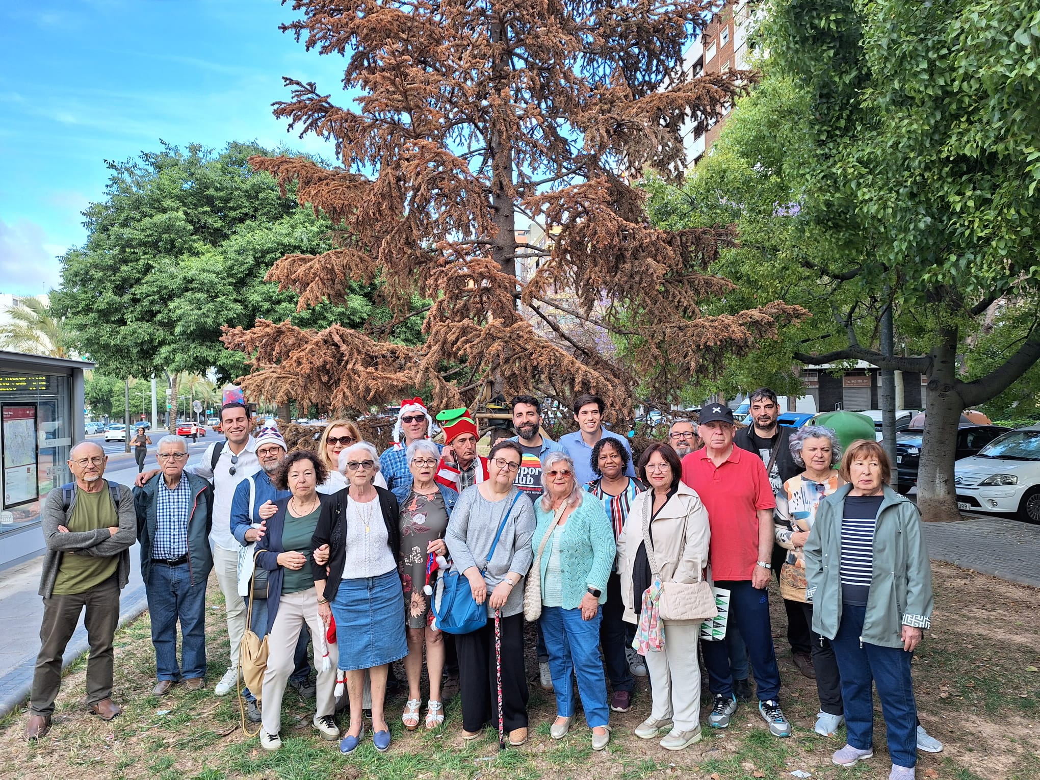 Vecinos de San Marcelino realizan un acto reivindicativo en homenaje al &quot;pobre abeto reseco&quot; replantado por el Ayuntamiento de València en el bulevar sur